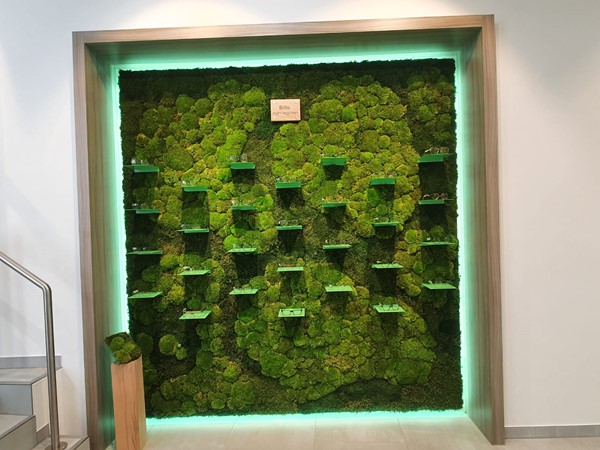 IMG-20220115-WA0010